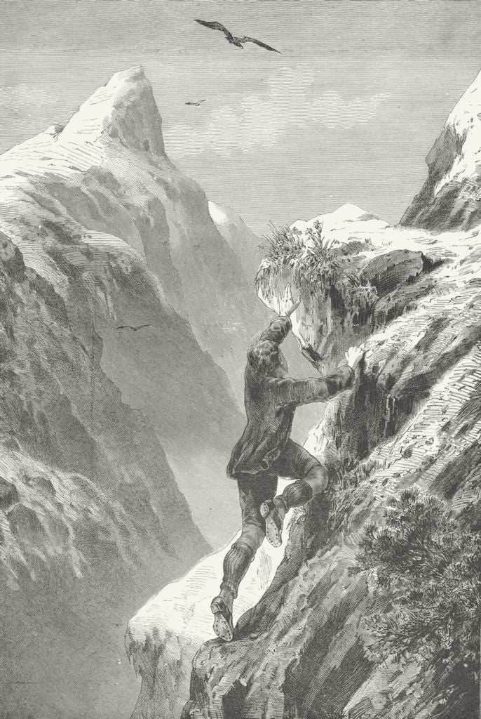 FRANCE. Gathering Edelweiss 1891 old antique vintage print picture